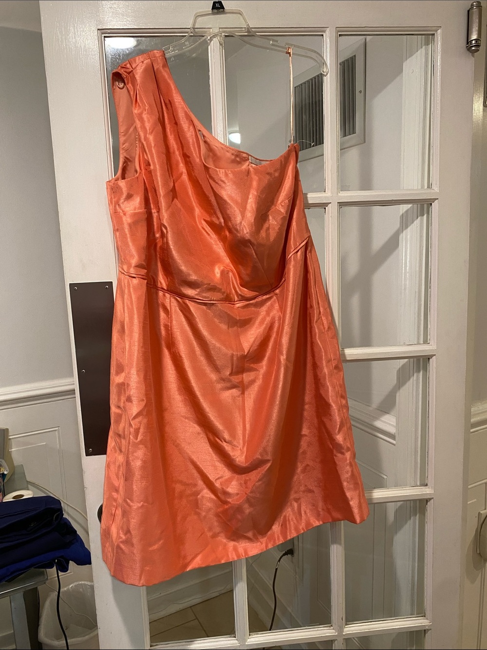 RSVP size 20 Dress New With Tags